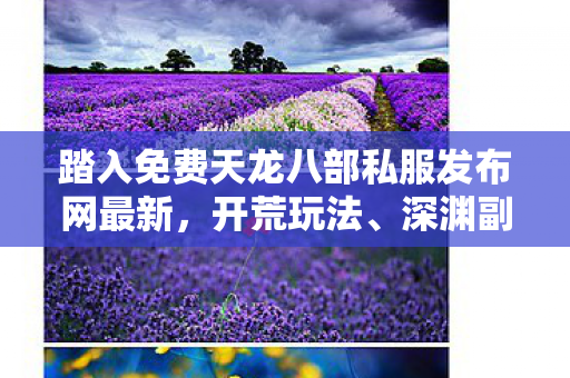 深渊副本与神秘 NPC 背后的趣闻秘事天龙私服图片