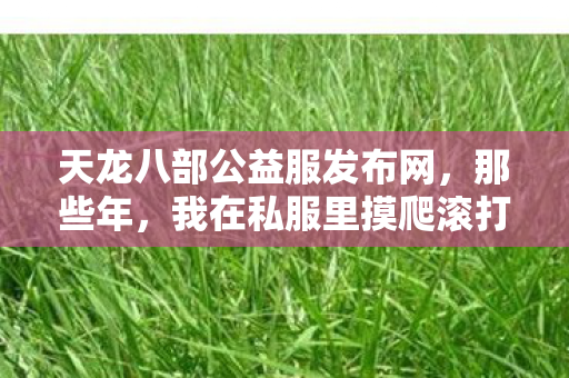 我在私服里摸爬滚打踩过的坑天龙私服图片