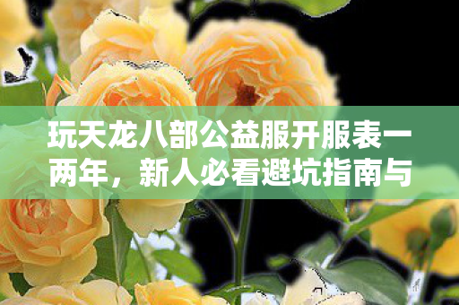玩天龙八部公益服开服表一两年图片
