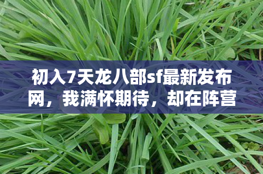 初入7天龙八部sf最新发布网图片