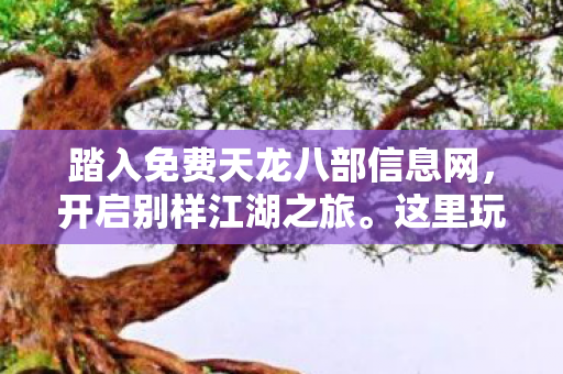 踏入免费天龙八部信息网图片