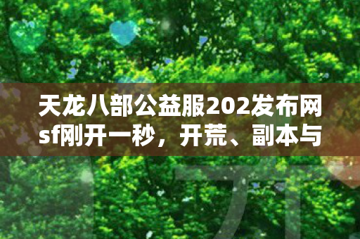 天龙八部公益服202发布网sf刚开一秒图片