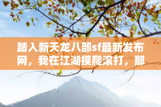 踏入新天龙八部sf最新发布网图片