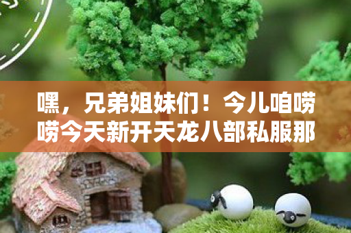 今儿咱唠唠今天新开天龙八部私服那些事儿图片