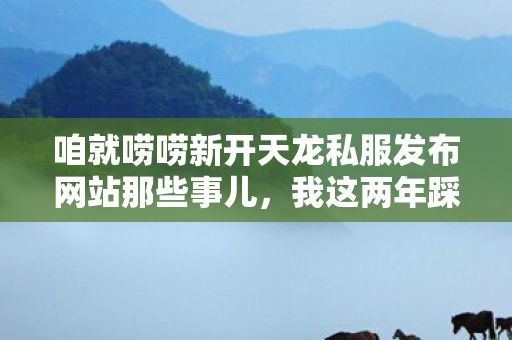 咱就唠唠新开天龙私服发布网站那些事儿图片