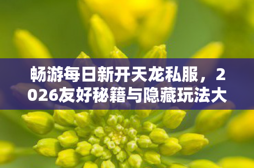 2026友好秘籍与隐藏玩法大揭秘天龙八部私服图片