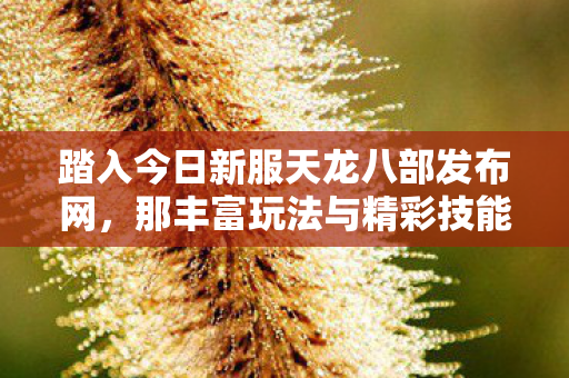 踏入今日新服天龙八部发布网图片