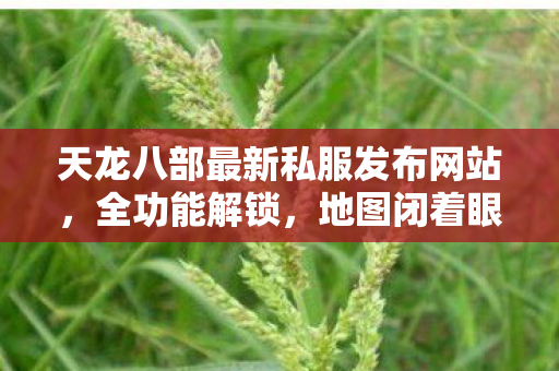 天龙八部最新私服发布网站图片