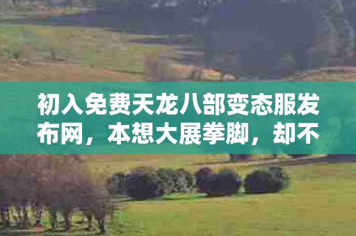 初入免费天龙八部变态服发布网图片