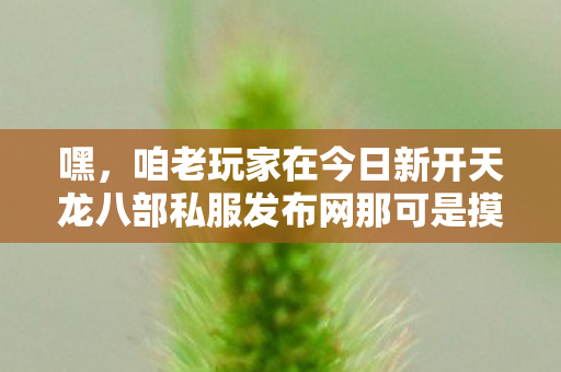 咱老玩家在今日新开天龙八部私服发布网那可是摸爬滚打多年啦图片
