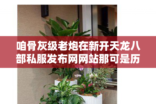 咱骨灰级老炮在新开天龙八部私服发布网网站那可是历经风雨图片