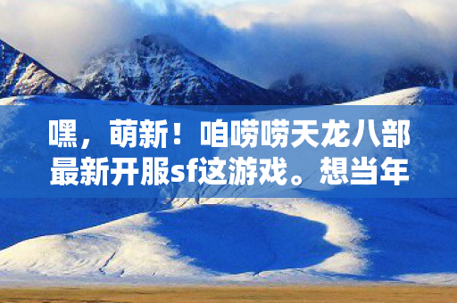 咱唠唠天龙八部最新开服sf这游戏图片