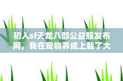 初入sf天龙八部公益服发布网图片