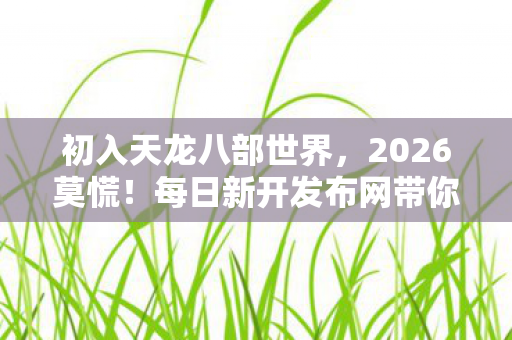 每日新开发布网带你解锁隐藏玩法天龙私服图片