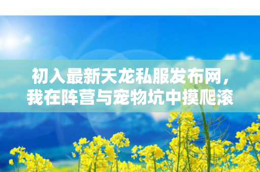我在阵营与宠物坑中摸爬滚打图片
