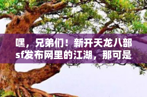 新开天龙八部sf发布网里的江湖图片