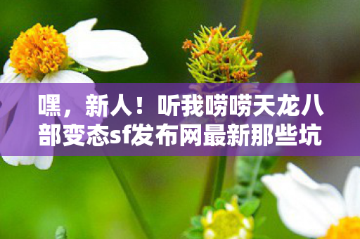 听我唠唠天龙八部变态sf发布网最新那些坑图片