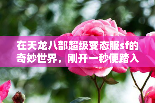 在天龙八部超级变态服sf的奇妙世界图片