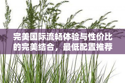 完美国际流畅体验与性价比的完美结合图片