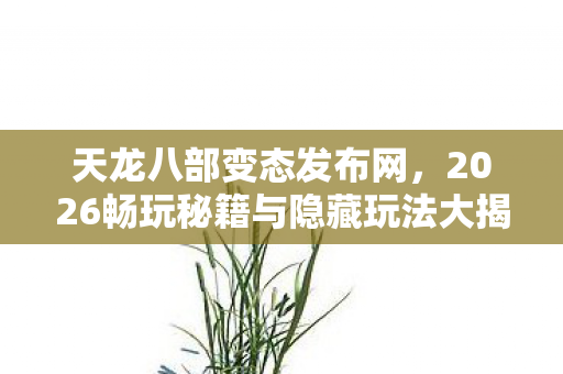 2026畅玩秘籍与隐藏玩法大揭秘天龙八部私服图片