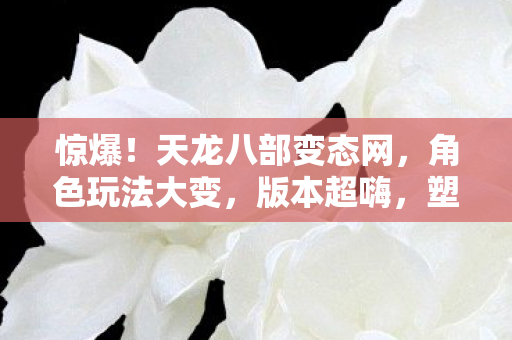 塑造超强反差炫耀威力天龙私服图片