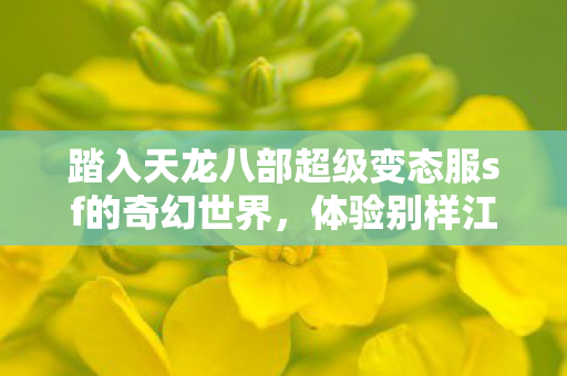 踏入天龙八部超级变态服sf的奇幻世界图片