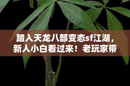 踏入天龙八部变态sf江湖图片