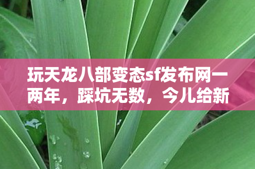 玩天龙八部变态sf发布网一两年图片