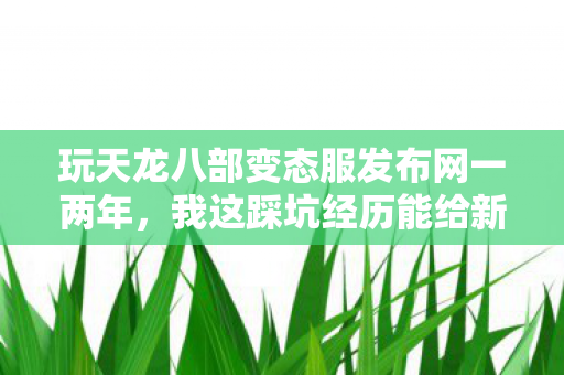 玩天龙八部变态服发布网一两年图片