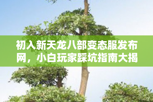初入新天龙八部变态服发布网图片