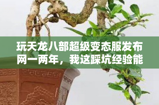 玩天龙八部超级变态服发布网一两年图片