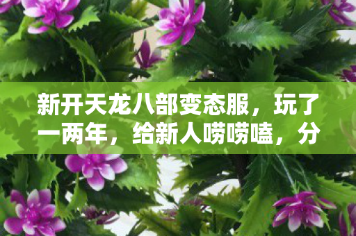 新开天龙八部变态服图片