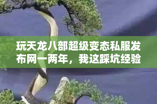 玩天龙八部超级变态私服发布网一两年图片
