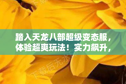 踏入天龙八部超级变态服图片