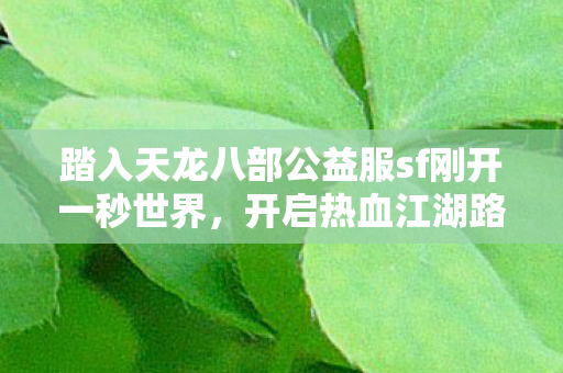 踏入天龙八部公益服sf刚开一秒世界图片