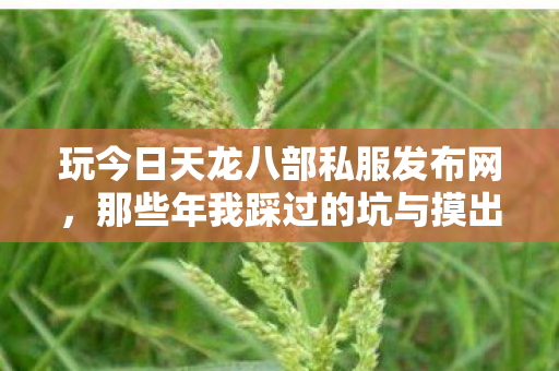 那些年我踩过的坑与摸出的门道天龙私服图片