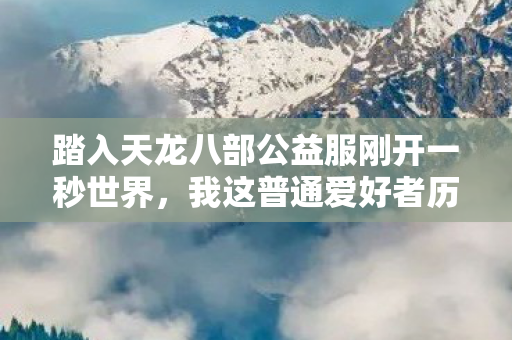 踏入天龙八部公益服刚开一秒世界图片