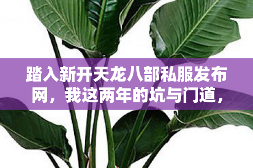 踏入新开天龙八部私服发布网图片