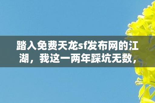 踏入免费天龙sf发布网的江湖图片