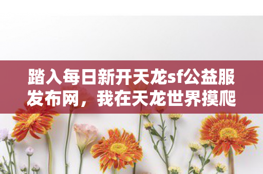 踏入每日新开天龙sf公益服发布网图片