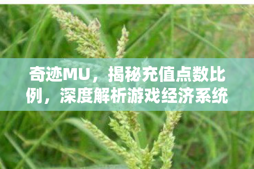 深度解析游戏经济系统图片