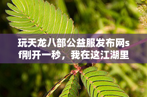 玩天龙八部公益服发布网sf刚开一秒图片