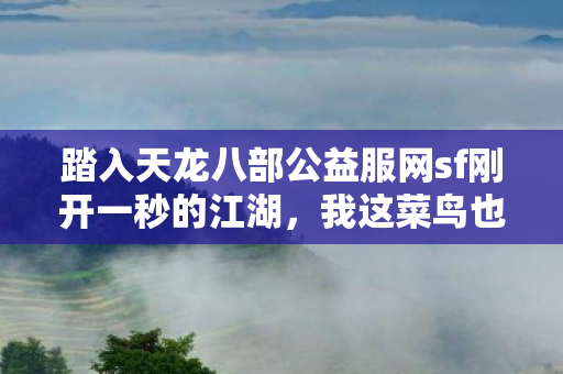 踏入天龙八部公益服网sf刚开一秒的江湖图片