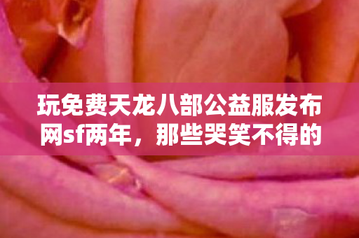 玩免费天龙八部公益服发布网sf两年图片