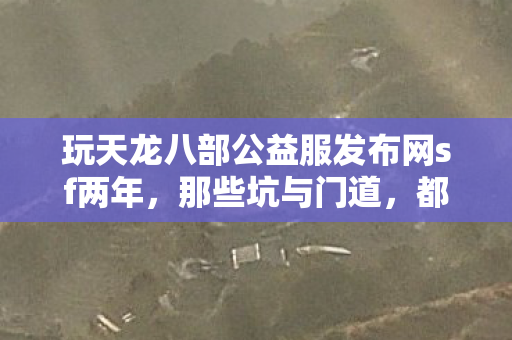 玩天龙八部公益服发布网sf两年图片