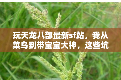 玩天龙八部最新sf站图片