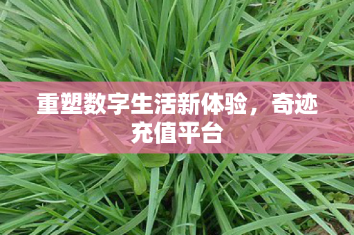 重塑数字生活新体验图片