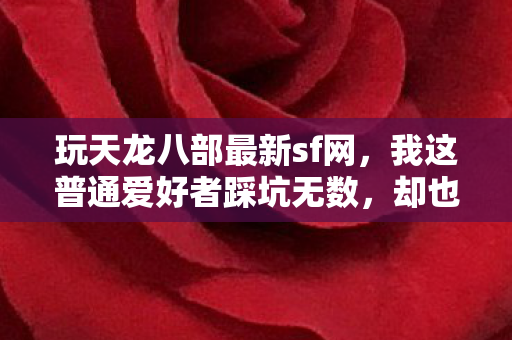 我这普通爱好者踩坑无数图片