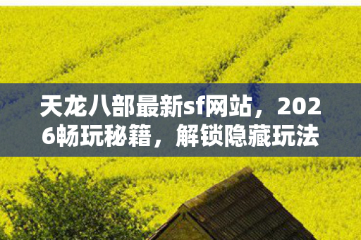 解锁隐藏玩法大揭秘天龙私服图片
