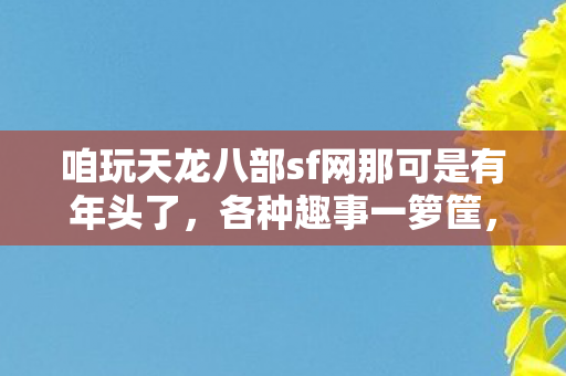 咱玩天龙八部sf网那可是有年头了图片